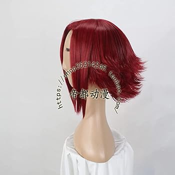 Amazon | [FENGLEI] ウィッグ、靴付き十六夜アキコスプレ衣装